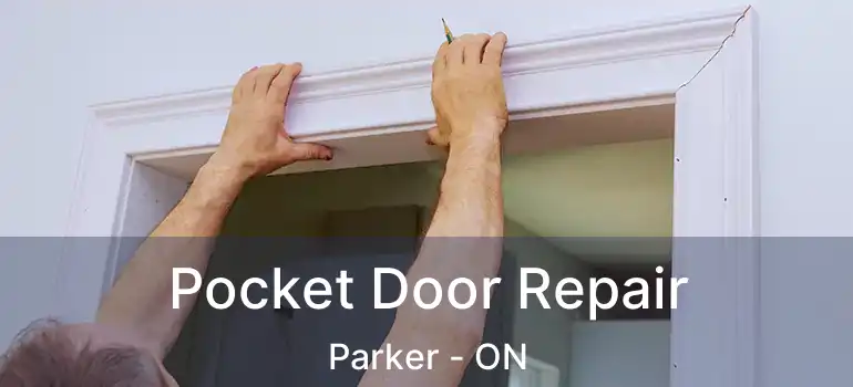  Pocket Door Repair Parker - ON
