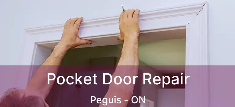  Pocket Door Repair Peguis - ON