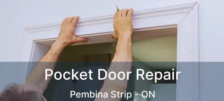  Pocket Door Repair Pembina Strip - ON