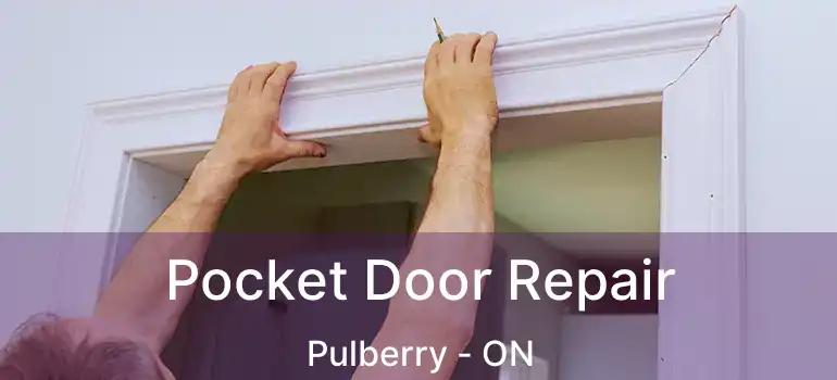  Pocket Door Repair Pulberry - ON