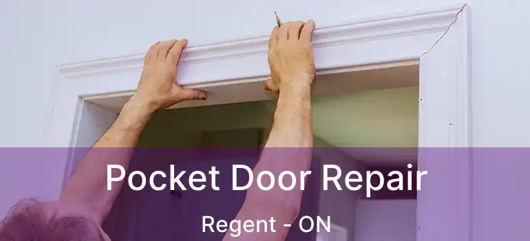 Pocket Door Repair Regent - ON