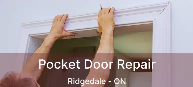  Pocket Door Repair Ridgedale - ON