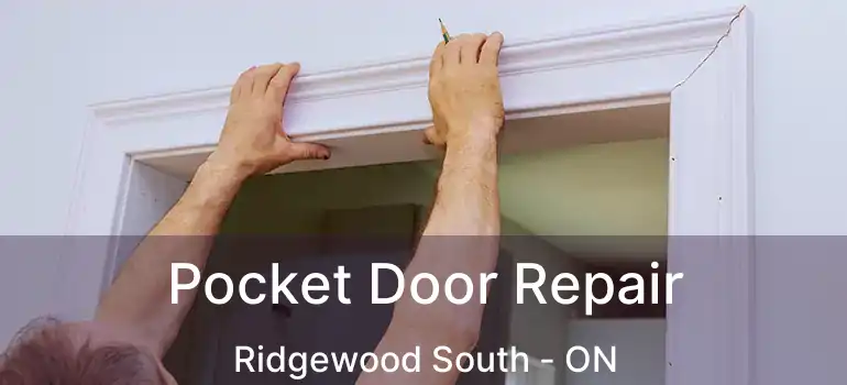  Pocket Door Repair Ridgewood South - ON