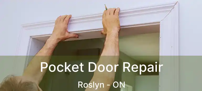  Pocket Door Repair Roslyn - ON