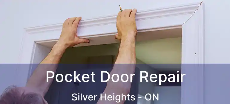  Pocket Door Repair Silver Heights - ON