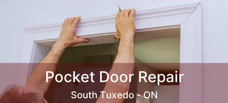  Pocket Door Repair South Tuxedo - ON