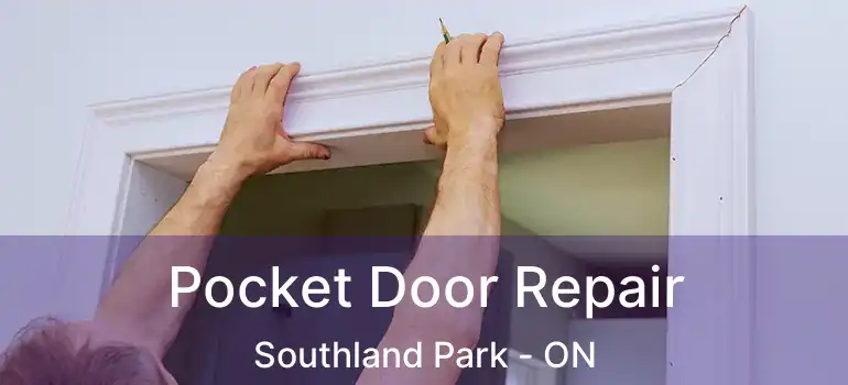  Pocket Door Repair Southland Park - ON
