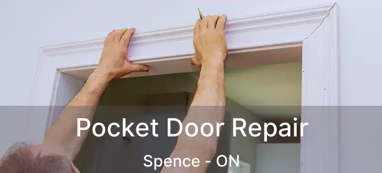  Pocket Door Repair Spence - ON