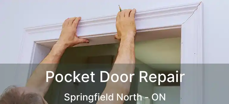  Pocket Door Repair Springfield North - ON