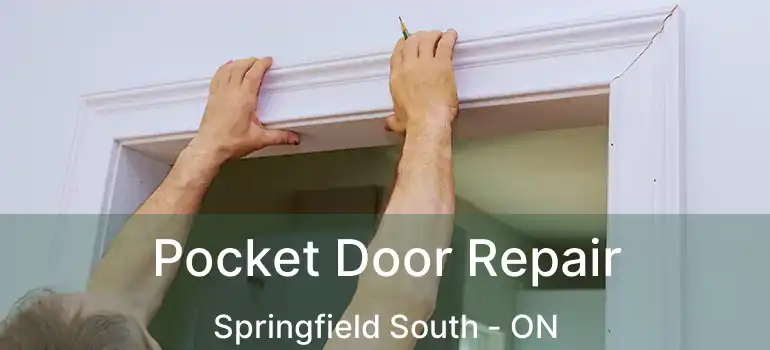  Pocket Door Repair Springfield South - ON