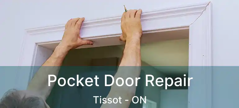  Pocket Door Repair Tissot - ON