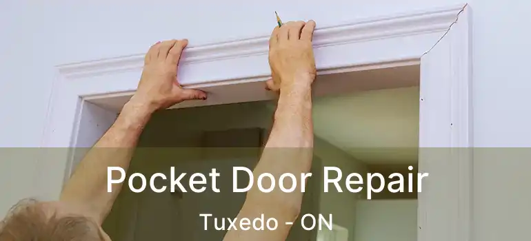  Pocket Door Repair Tuxedo - ON