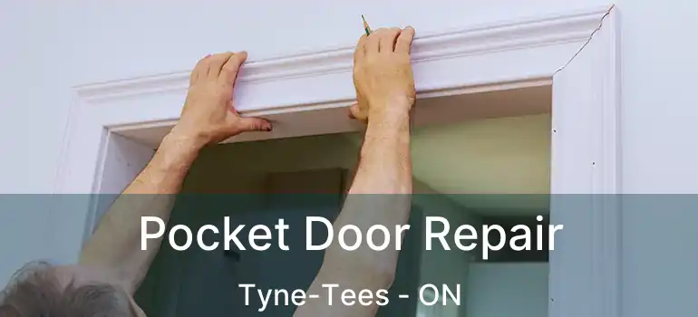 Pocket Door Repair Tyne-Tees - ON