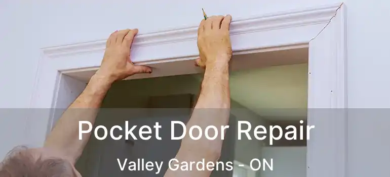 Pocket Door Repair Valley Gardens - ON