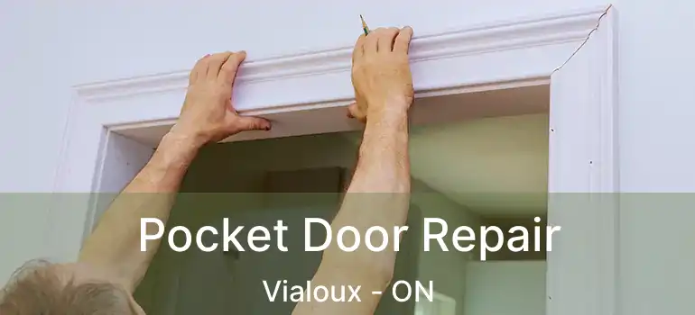  Pocket Door Repair Vialoux - ON
