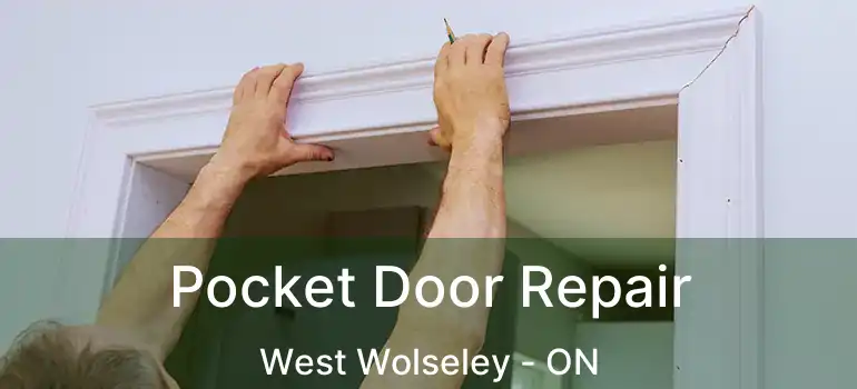  Pocket Door Repair West Wolseley - ON