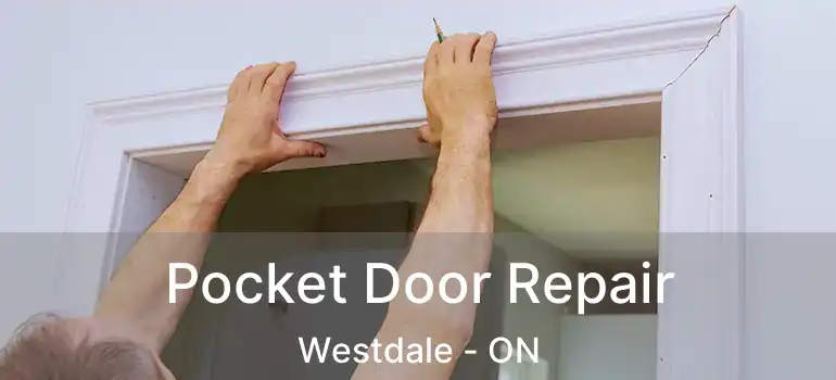  Pocket Door Repair Westdale - ON