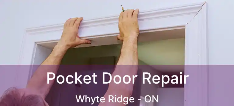  Pocket Door Repair Whyte Ridge - ON
