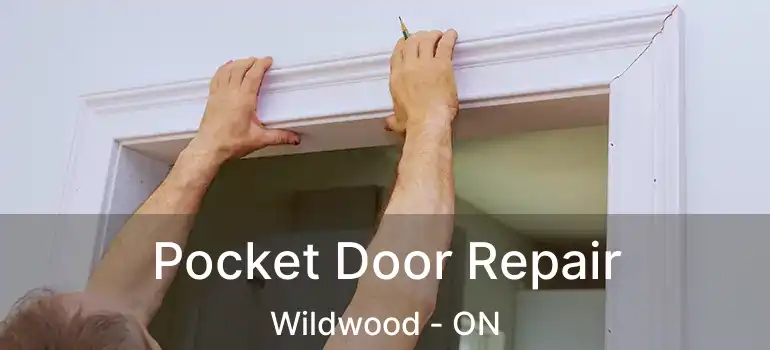  Pocket Door Repair Wildwood - ON