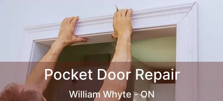 Pocket Door Repair William Whyte - ON