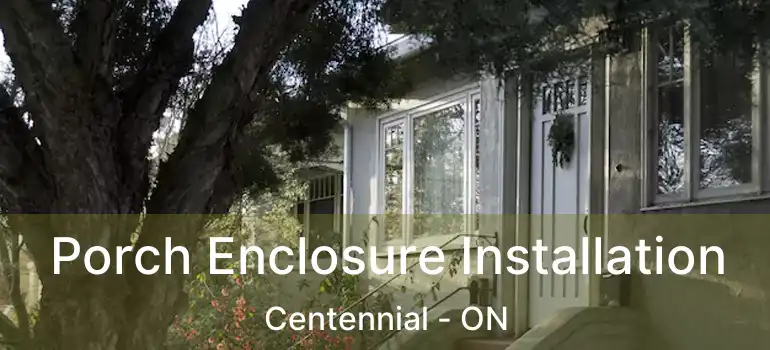  Porch Enclosure Installation Centennial - ON