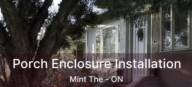  Porch Enclosure Installation Mint The - ON