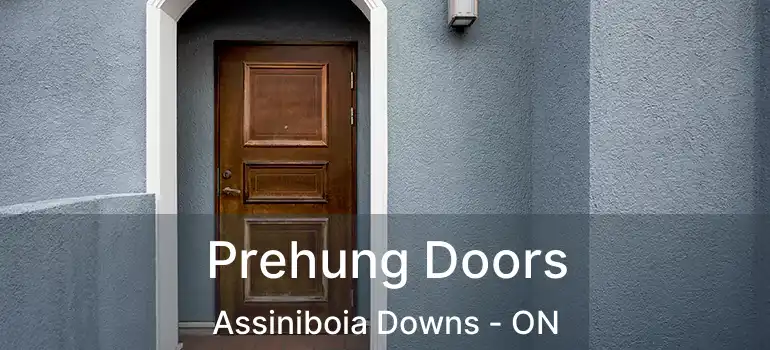  Prehung Doors Assiniboia Downs - ON