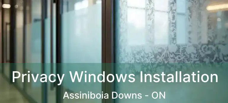  Privacy Windows Installation Assiniboia Downs - ON