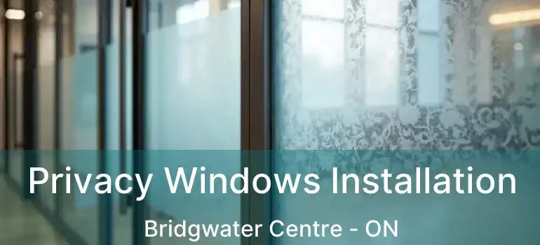  Privacy Windows Installation Bridgwater Centre - ON