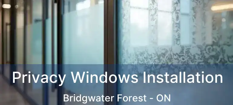  Privacy Windows Installation Bridgwater Forest - ON