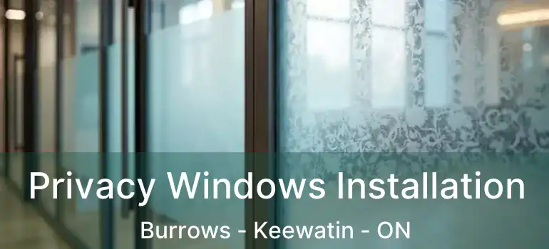  Privacy Windows Installation Burrows - Keewatin - ON