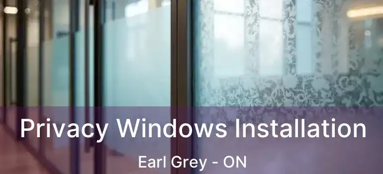  Privacy Windows Installation Earl Grey - ON