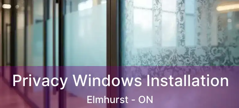  Privacy Windows Installation Elmhurst - ON
