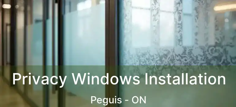  Privacy Windows Installation Peguis - ON