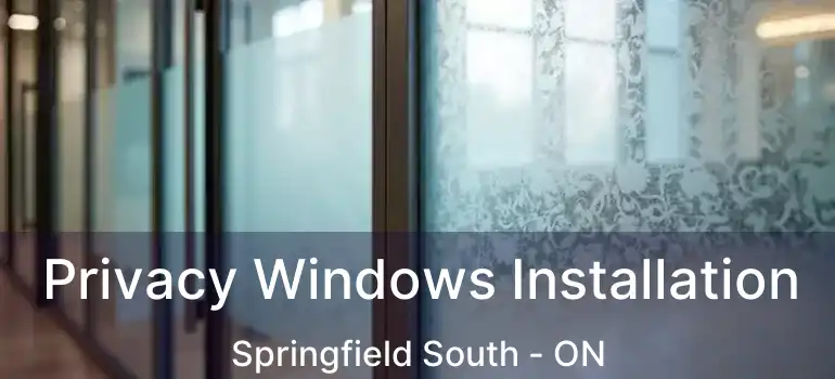  Privacy Windows Installation Springfield South - ON