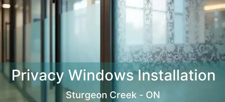  Privacy Windows Installation Sturgeon Creek - ON