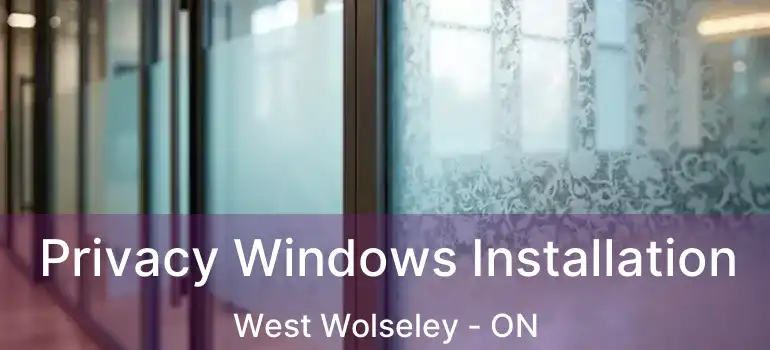  Privacy Windows Installation West Wolseley - ON