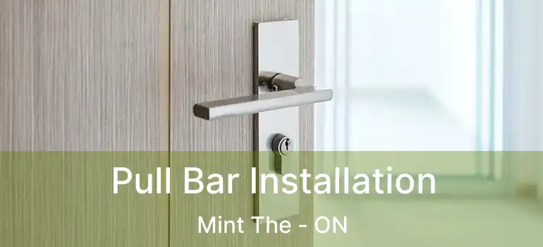  Pull Bar Installation Mint The - ON