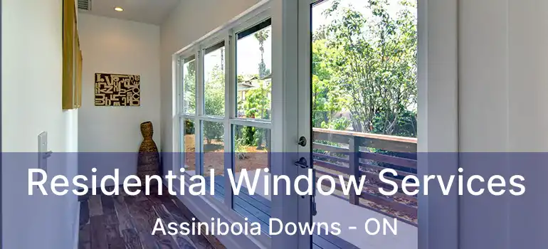  Residential Window Services Assiniboia Downs - ON