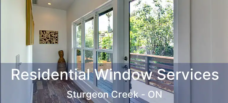  Residential Window Services Sturgeon Creek - ON