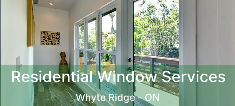  Residential Window Services Whyte Ridge - ON