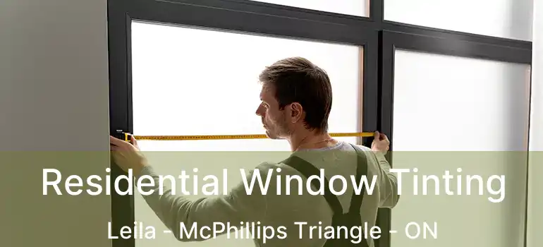  Residential Window Tinting Leila - McPhillips Triangle - ON