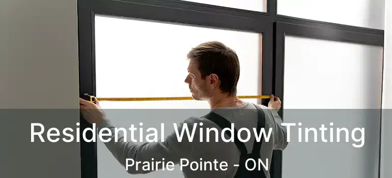  Residential Window Tinting Prairie Pointe - ON