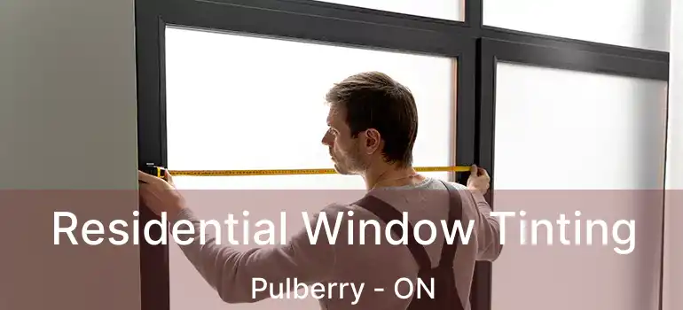  Residential Window Tinting Pulberry - ON