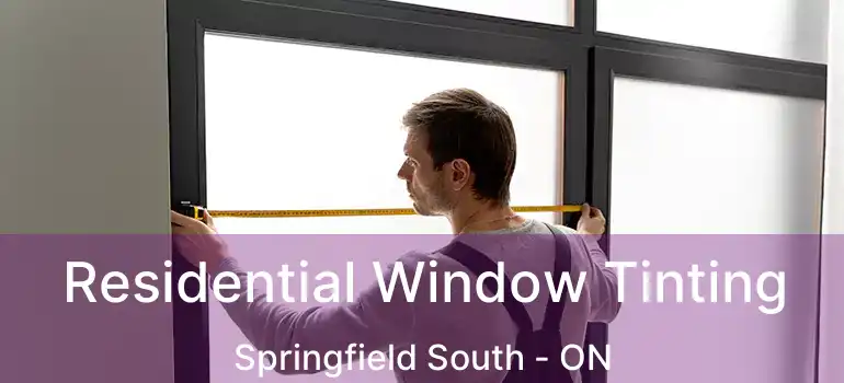  Residential Window Tinting Springfield South - ON