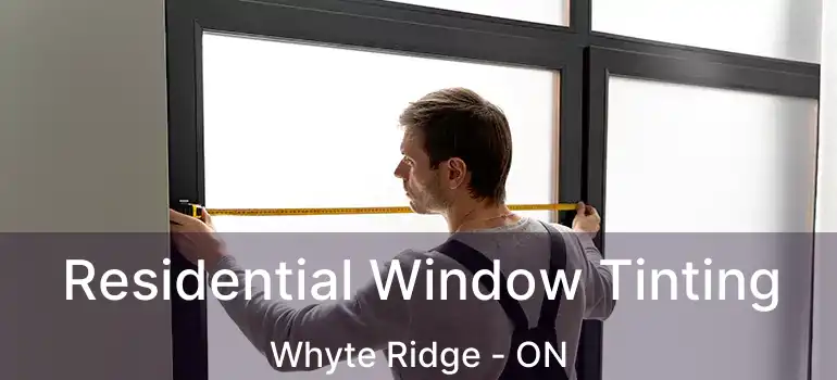  Residential Window Tinting Whyte Ridge - ON