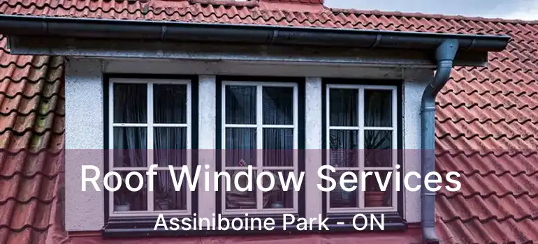  Roof Window Services Assiniboine Park - ON