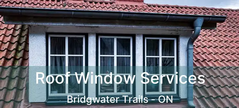  Roof Window Services Bridgwater Trails - ON