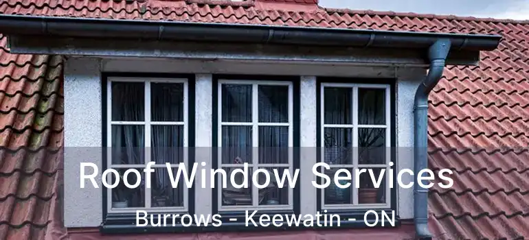  Roof Window Services Burrows - Keewatin - ON