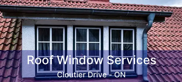  Roof Window Services Cloutier Drive - ON